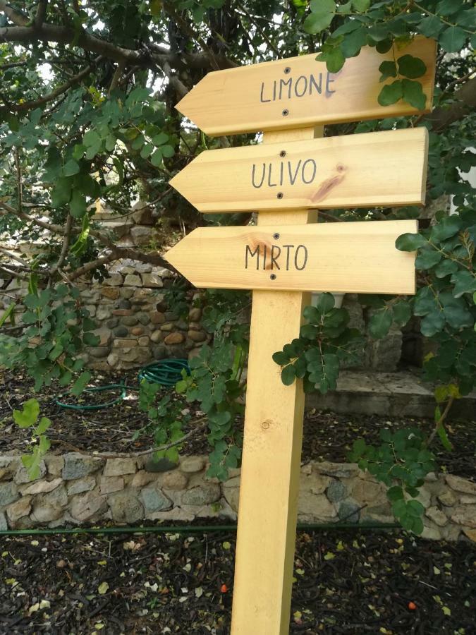 Ulivo Quartu SantʼElena Exterior foto